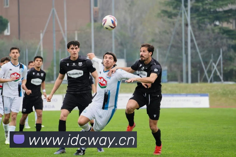 飞博体育APP 封面图